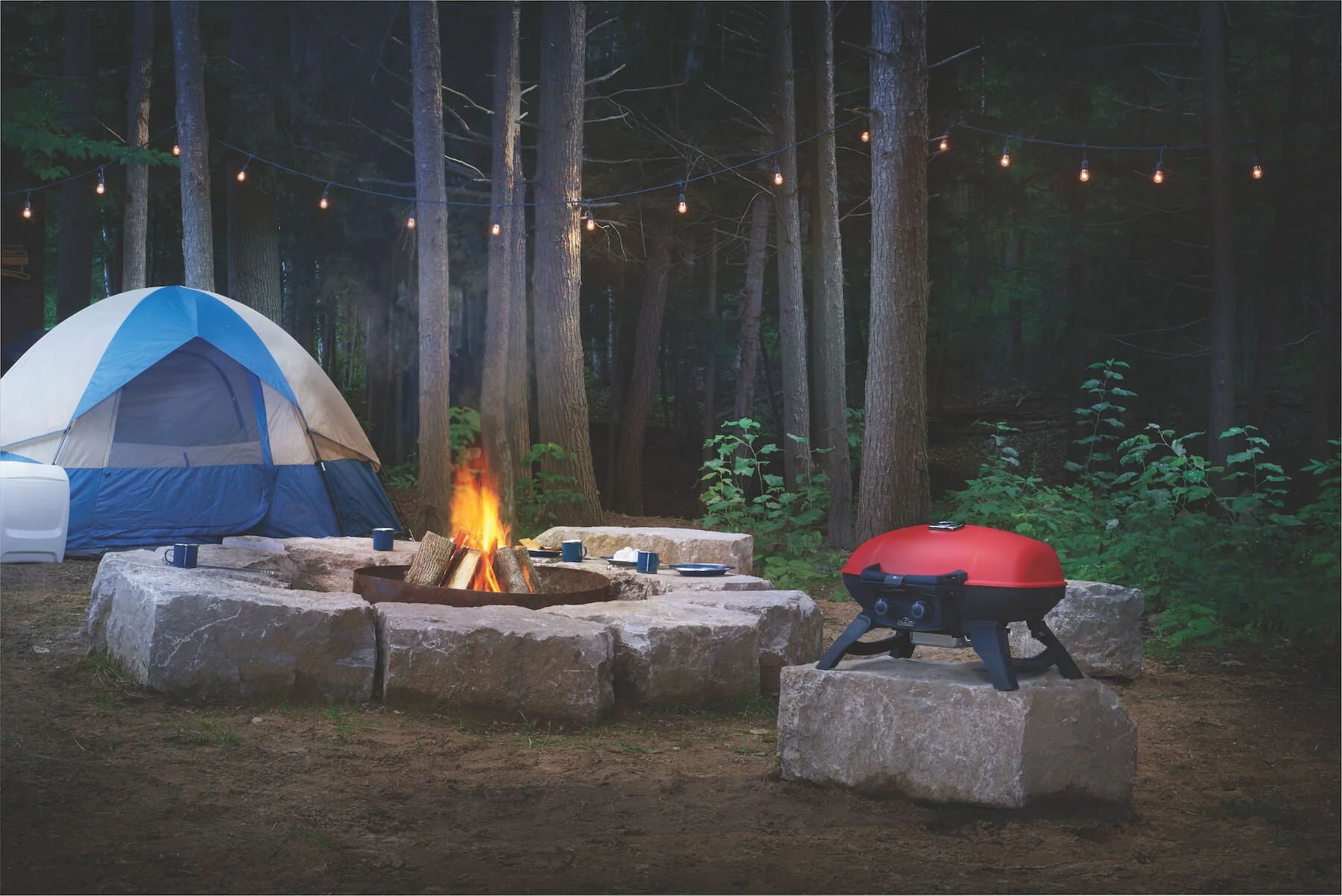 Napoleon Gril à gaz portatif TravelQ 285 Propane BBQ avec plaque de cuisson - Image 5