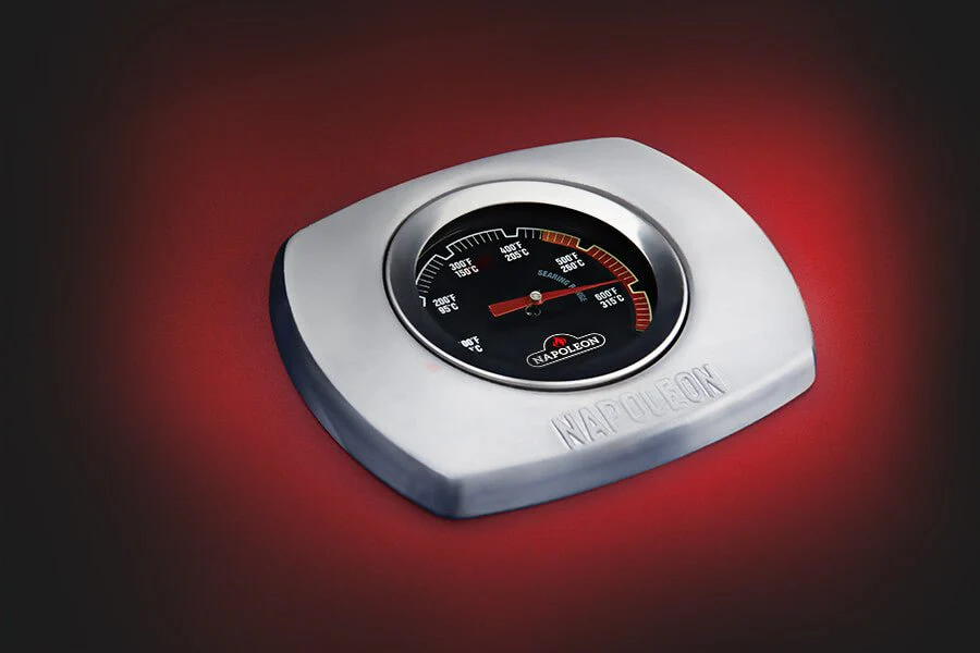 Napoleon Gril à gaz portatif TravelQ 285 Propane BBQ avec plaque de cuisson - Image 7